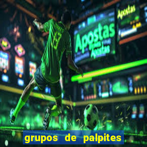 grupos de palpites de futebol whatsapp